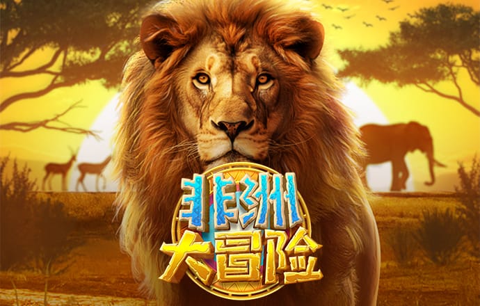 c7官方网站登录